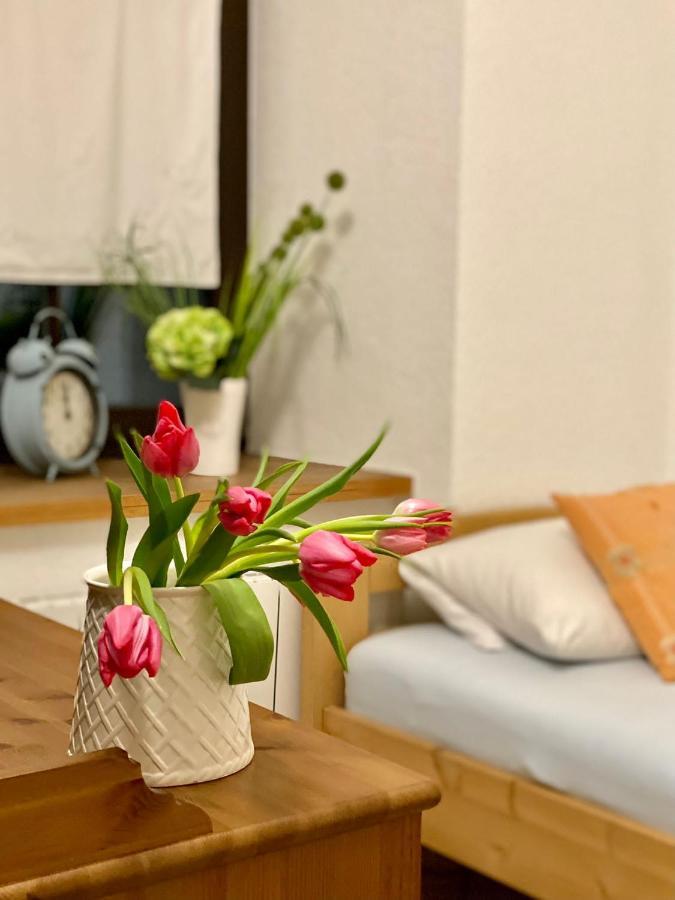 Ferienwohnung Am Weinberg Meißen 外观 照片