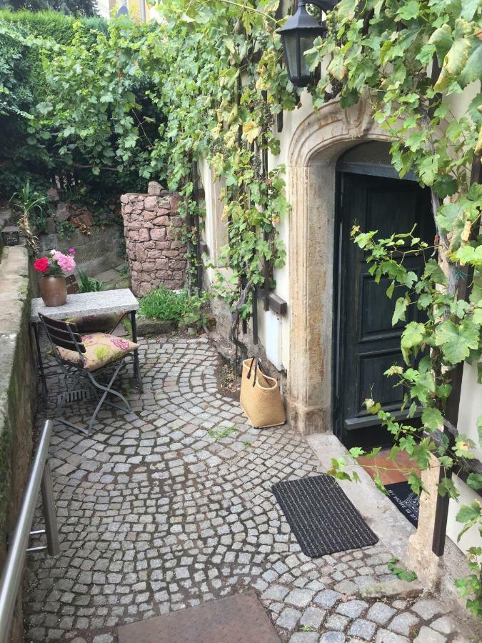 Ferienwohnung Am Weinberg Meißen 外观 照片